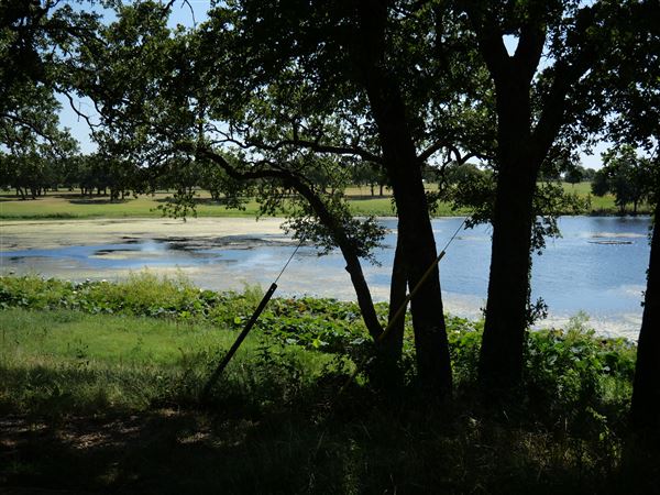 Holiday Hills Country Club (7/16/2019)