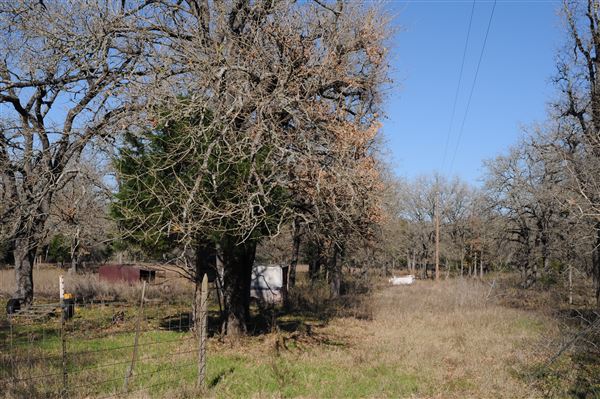 Rural Farm - Two House Property (6/7/2020)