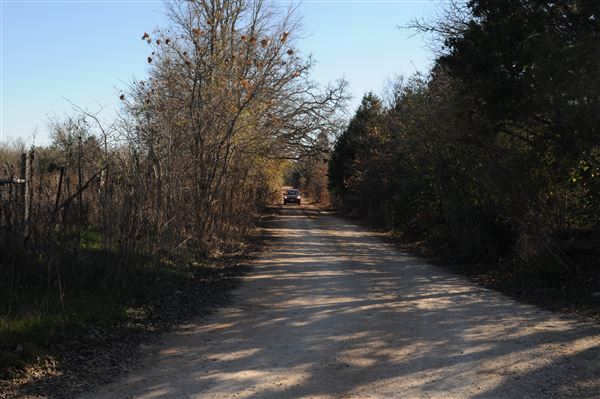 Rural Farm - Two House Property (6/7/2020)