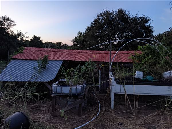 Rural Farm - Two House Property (8/12/2021 - Credits: Daniel Williams)