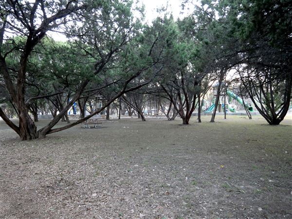 North Oaks Neighborhood Park (12/10/2020 - Credits: Kim LeBlanc)