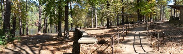 Synergy Park (11/12/2021)