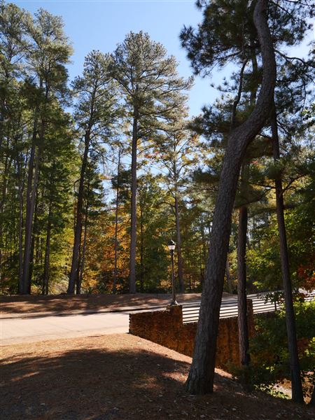 Synergy Park (11/12/2021)
