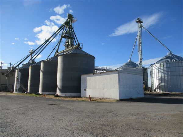 Top Tier Grain & Feed (1/21/2022 - Credits: Jane Jeschke)