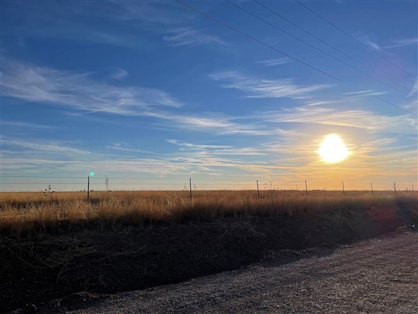 Plainview Terrain (2/1/2022 - Credits: Tori Huddleston)