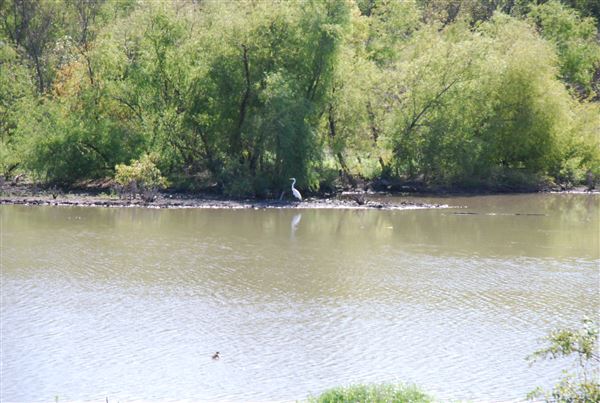 Lone Star Trail (4/13/2022 - Credits: submitted by: Kelly Eddlemon)