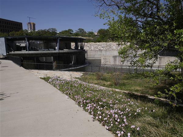 Waterloo Park (4/8/2022)