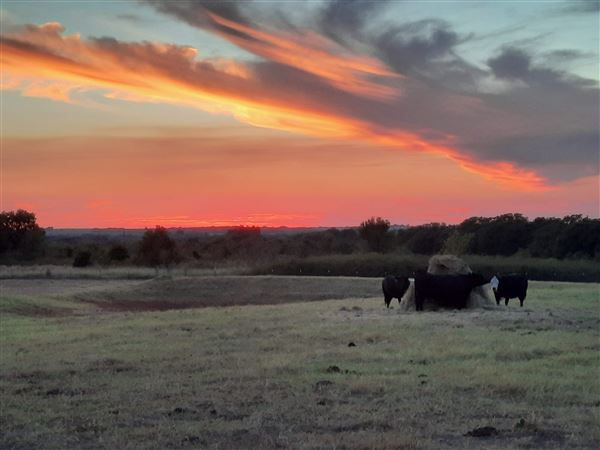 Windy Ridge Ranch (6/14/2022)
