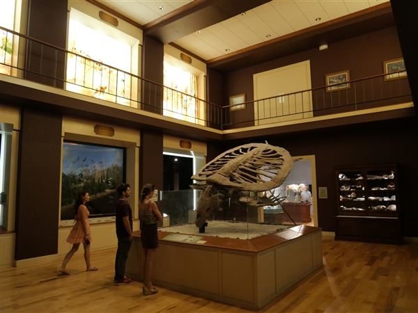 Mayborn Museum Complex (7/23/2022 - Credits: Matt Miller)