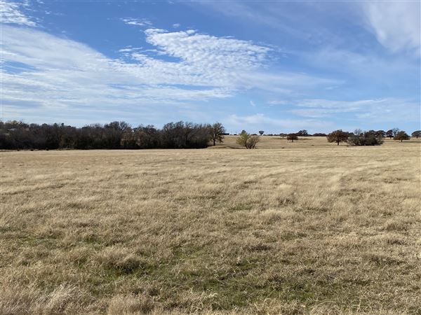Fairlea Longhorn Ranch (12/7/2022)