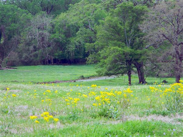 Maysel Ranch (4/1/2010)