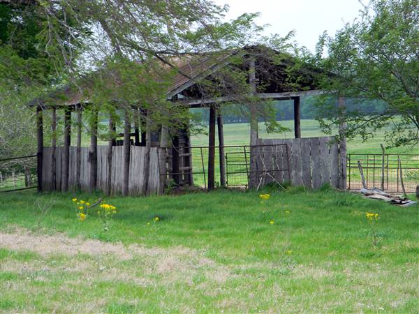 Maysel Ranch (4/1/2010)