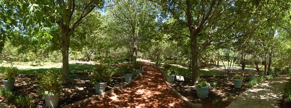 Clark Gardens Botanical Park (5/30/2009)