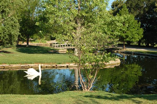 Clark Gardens Botanical Park (5/30/2009)