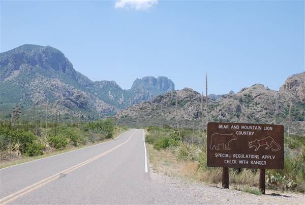Big Bend National Park - Chisos Mountain Basin (6/12/2010)