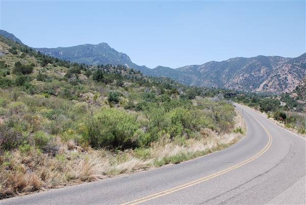 Big Bend National Park - Chisos Mountain Basin (6/12/2010)