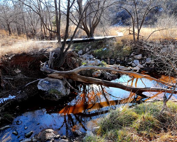 Borger Nature Trail (4/30/2017 - Credits: Charles Gillingham)