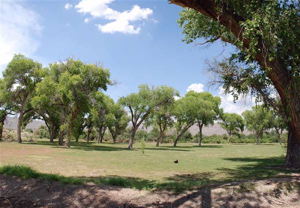 Big Bend National Park - Rio Grande Village (6/12/2010)