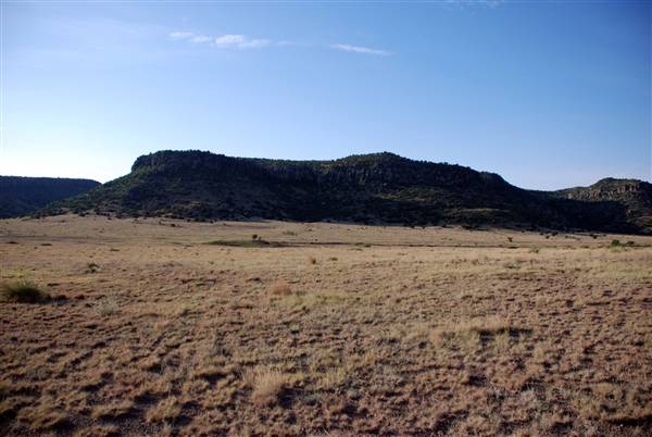 CF Ranch (6/10/2010)