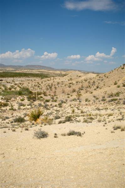 Big Bend Ranch State Park - Barton Warnock Environmental Education Center (9/17/2010)