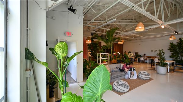 Eden Plant Co. (6/27/2023 - Credits: Houston Film Commission)