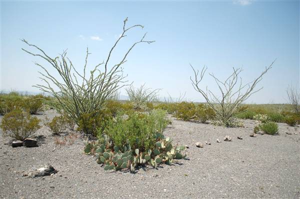 Big Bend Ranch State Park - Vista del Bofecillos (9/23/2010)