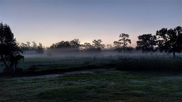 Hidden Meadows Ranch (7/6/2023 - Credits: Liza Clark)