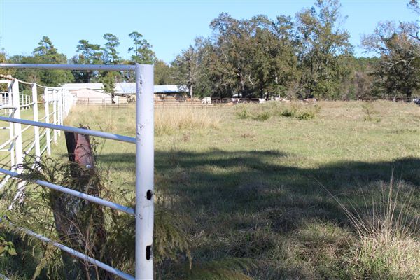 Hidden Meadows Ranch (7/6/2023 - Credits: Liza Clark)