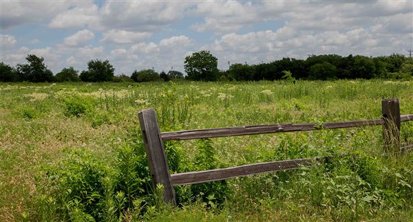 Blackland Prairie Park (5/1/2023 - Credits: Owner)