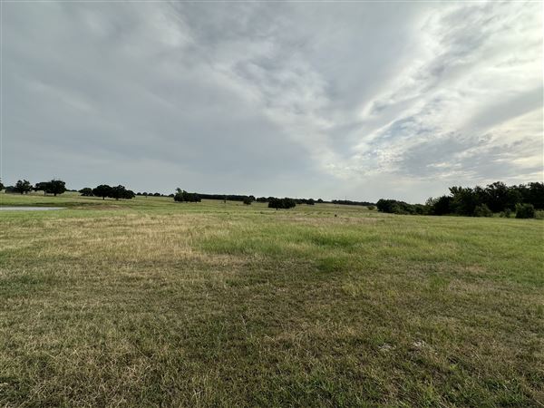 Fairlea Longhorn Ranch (7/20/2023 - Credits: K.Beck)