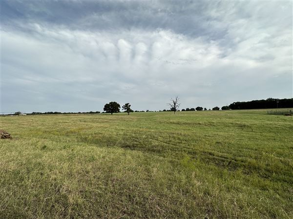 Fairlea Longhorn Ranch (7/20/2023 - Credits: K.Beck)