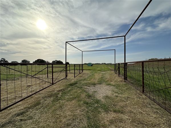 Fairlea Longhorn Ranch (7/20/2023 - Credits: K.Beck)