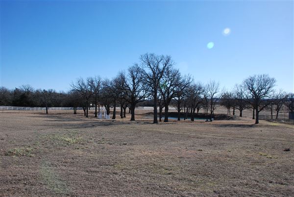 Blue Ostrich Winery & Vineyard (1/27/2023 - Credits: Gabriel Ornelas)