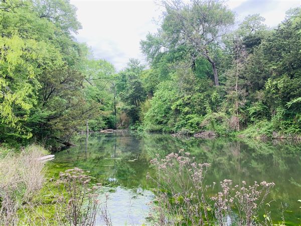 Arkikosa Ranch (10/10/2023 - Credits: submitted by: JODI SIMONS)