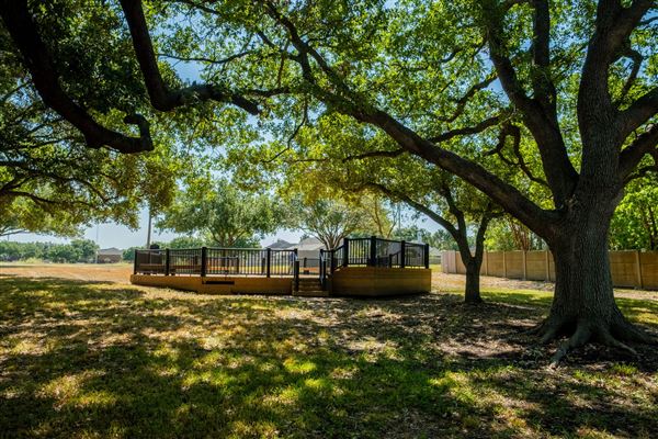 Freedom Tree Park (8/15/2023 - Credits: Jaxon Lara)