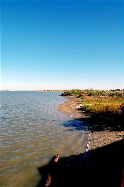 Goose Island State Park (12/2/2010)