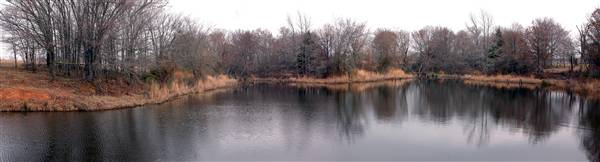 Mineola Nature Preserve (2/11/2009 - Credits: FFTX)