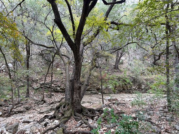 Panther Canyon Nature Trail (3/28/2024 - Credits: Chad Donegan)