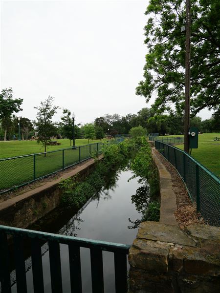 Lake Cliff Park (4/26/2024 - Credits: Alex Payne)