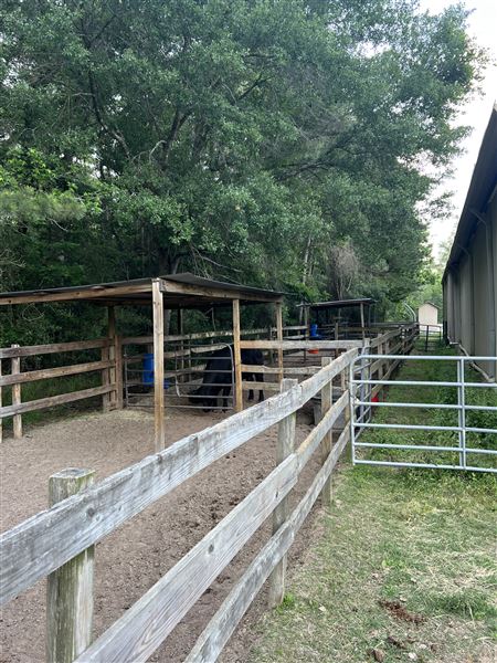 Pine Acres Farm (7/21/2023 - Credits: Bonnie Hubert)