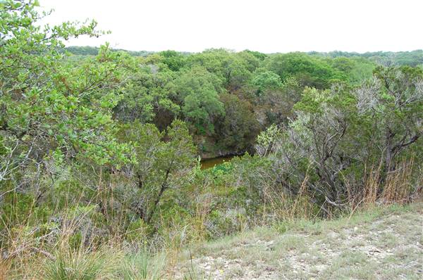 Sinya on Lone Man Creek (4/6/2011)