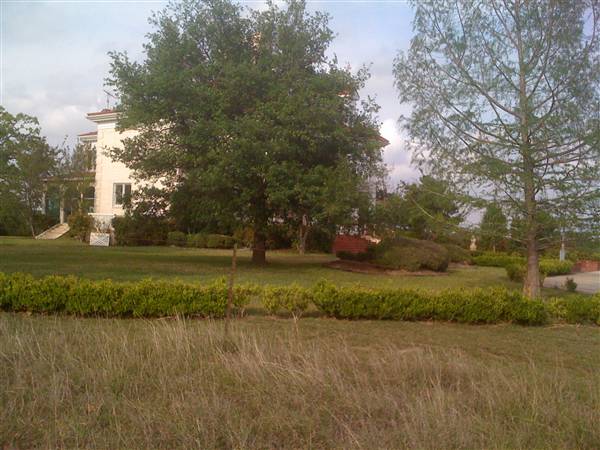 Pool House (6/16/2011)