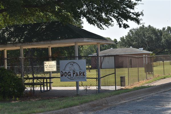 City Park (8/26/2024 - Credits: Kennedy Moore)