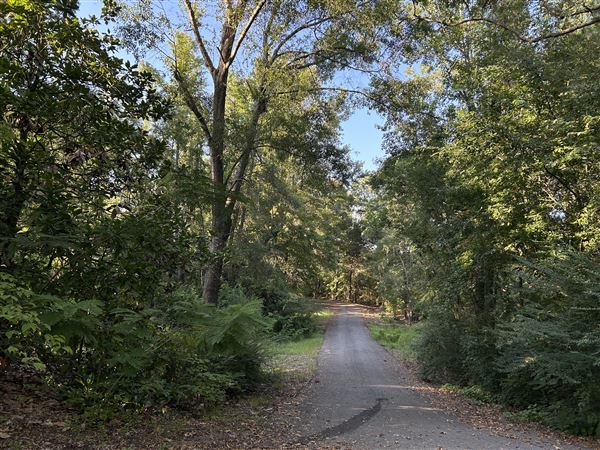 Flournoy Farm (9/24/2024 - Credits: submitted by: Sue Wisdom)