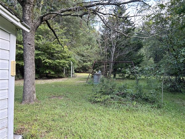 Flournoy Farm (9/24/2024 - Credits: submitted by: Sue Wisdom)