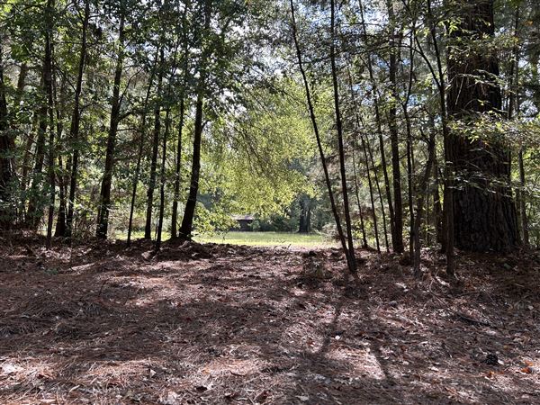 Flournoy Farm (9/24/2024 - Credits: submitted by: Sue Wisdom)