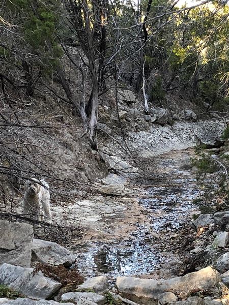Double T Ranch (9/1/2024 - Credits: David Saidi)