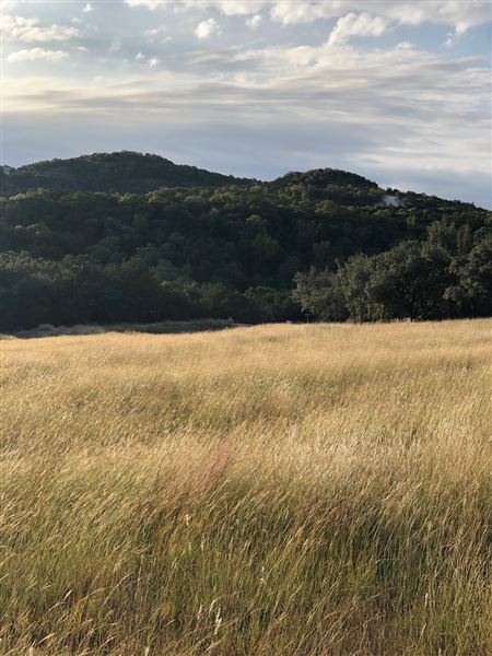 Double T Ranch (9/1/2024 - Credits: David Saidi)
