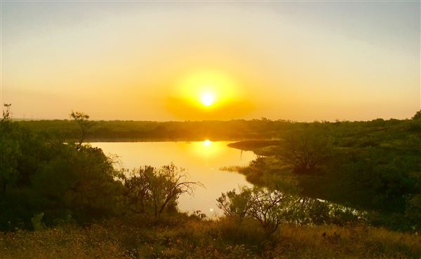 Tipton Ranch (10/11/2024 - Credits: John Cochran)