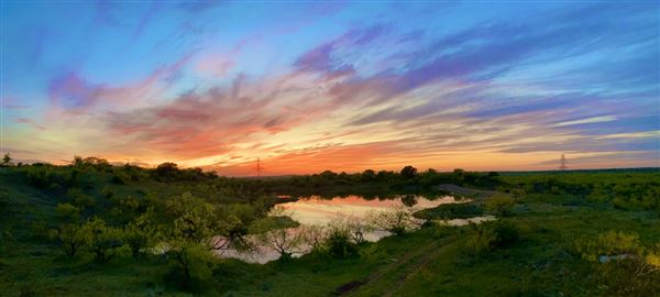 Tipton Ranch (10/11/2024 - Credits: John Cochran)